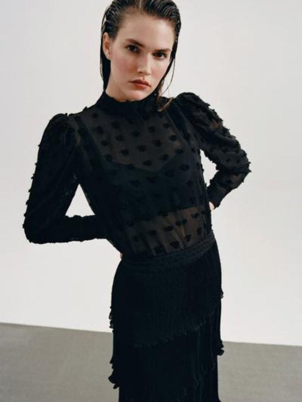 Zara 2020 Semi-Sheer Swiss High-Neck Long Sleeve Dot Blouse